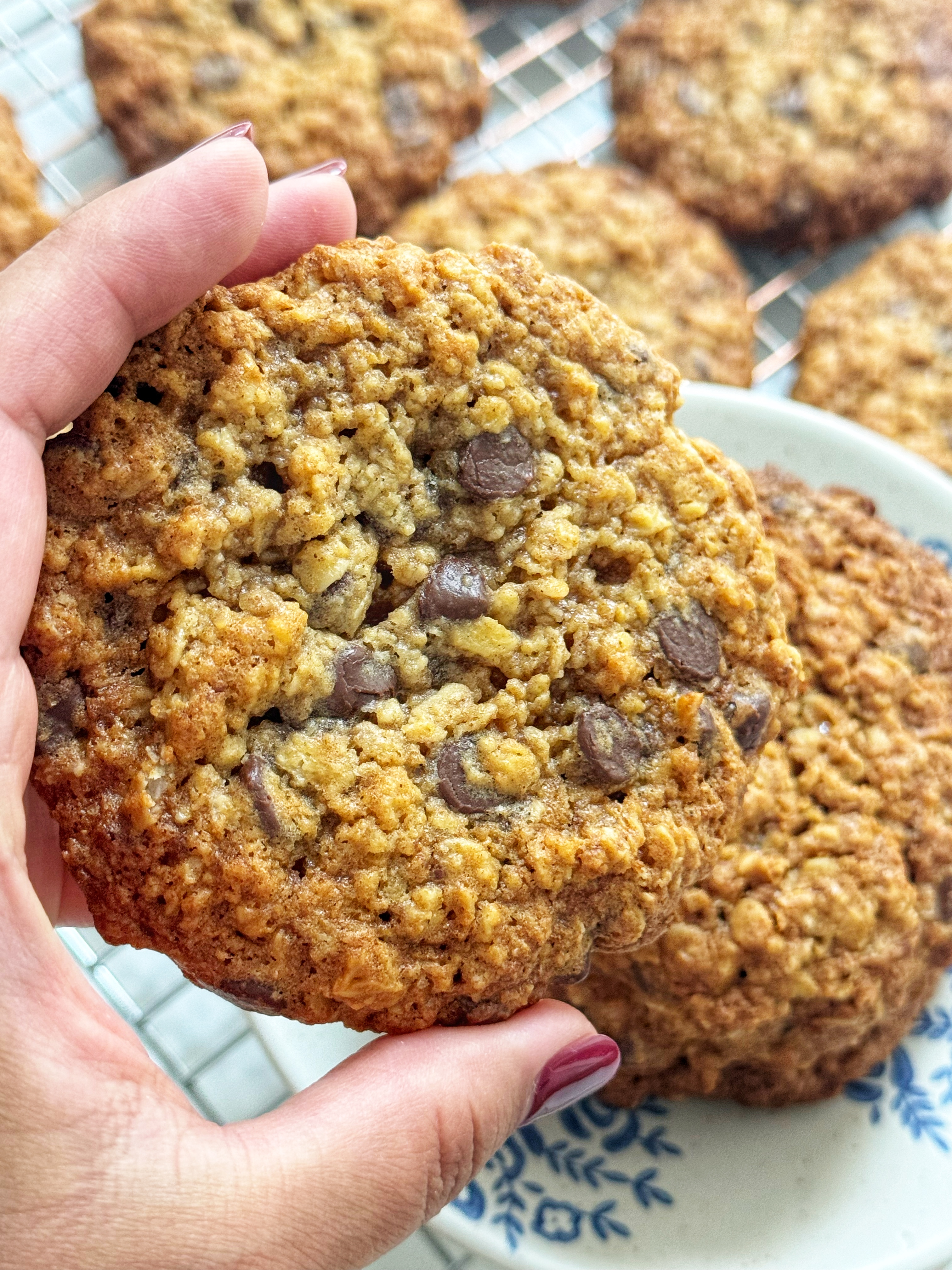 Spiced Oats Cookies