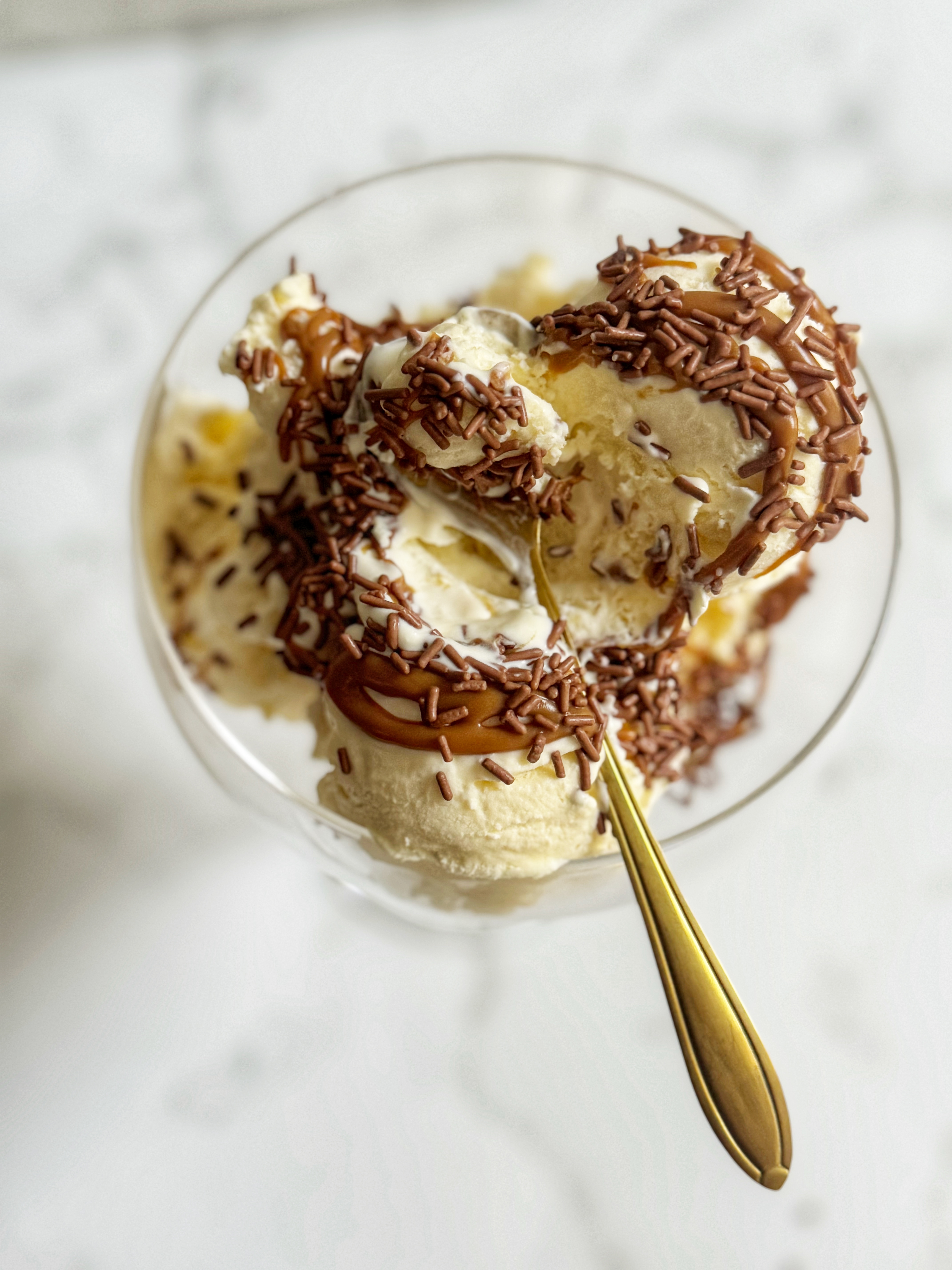 easy sea seal vanilla ice cream with chocolate sprinkles 