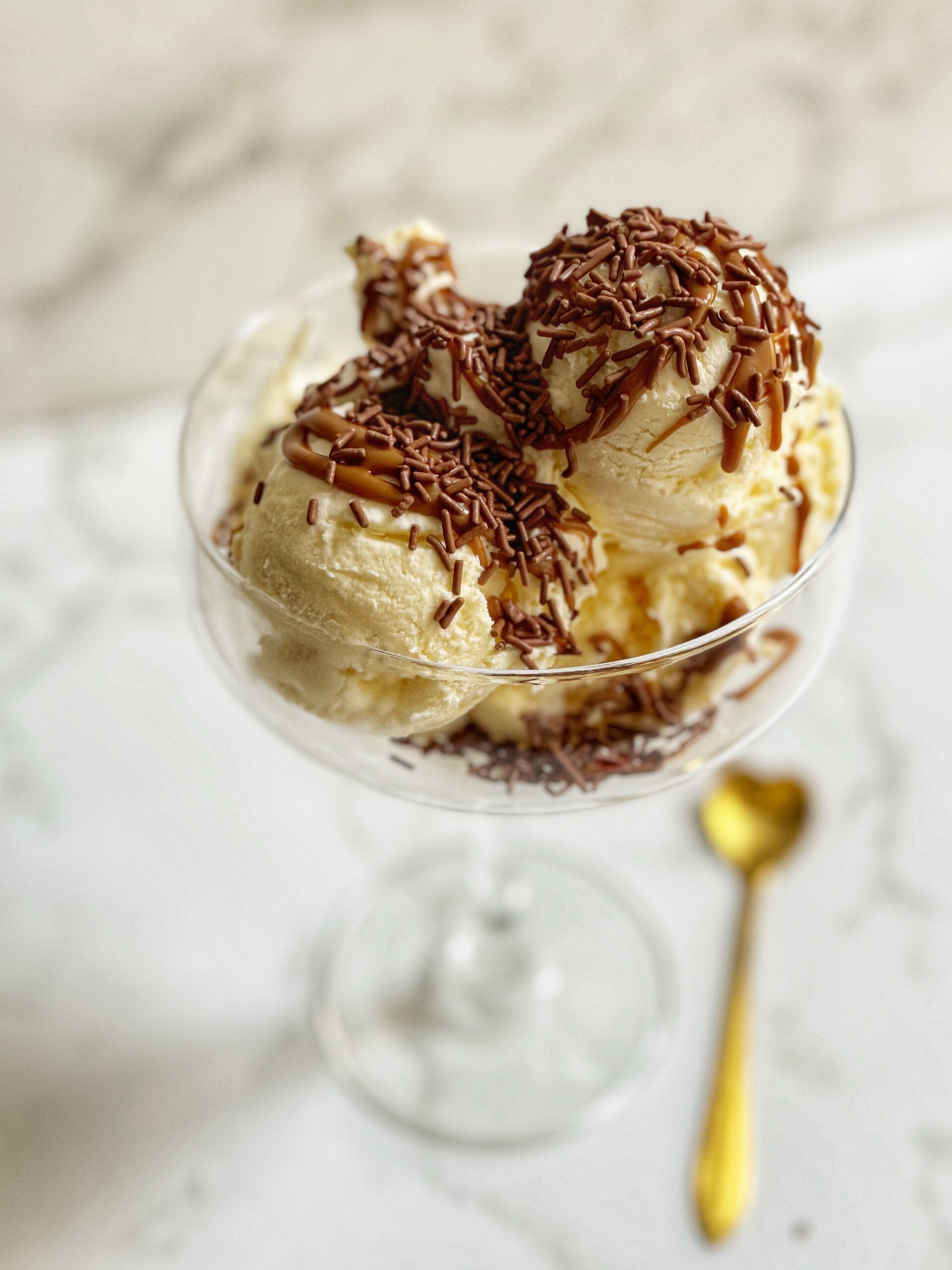 easy sea seal vanilla ice cream with chocolate sprinkles